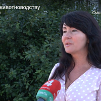 В Житковичском районе прошел областной семинар по технологии производства продукции животноводства